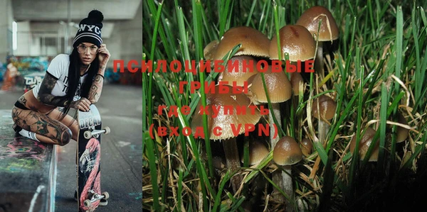 мяу мяу мука Арсеньев