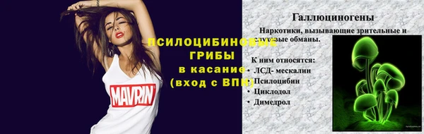 мяу мяу мука Арсеньев