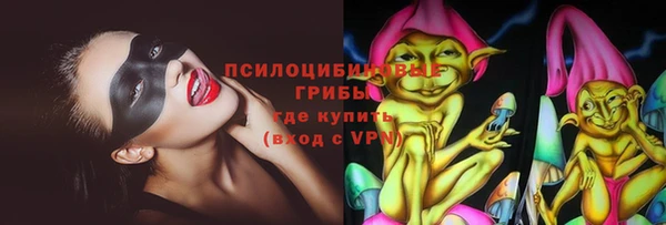 СК Аркадак